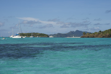 Saint Vincent and The Grenadines Tobago Cays Caribbean 57
