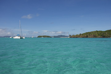 Saint Vincent and The Grenadines Tobago Cays Caribbean 56