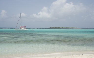 Fototapeta premium Saint Vincent and The Grenadines Tobago Cays Caribbean 15