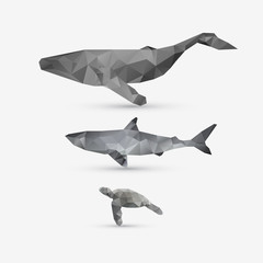 Vector abstract whale, shark, and turtle illustration set