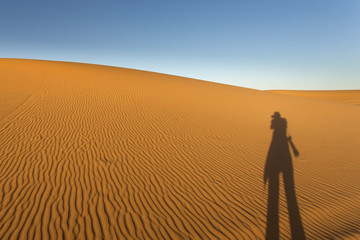 Fototapeta na wymiar Sand dunes, Sahara Desert