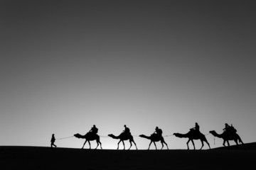 Fototapeta na wymiar Camel caravan going through the desert black and white