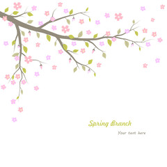 Fototapeta premium Spring branch background