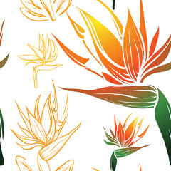 bird of paradise exotic tropic flower seamless texture