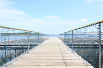 Bridge into the sea