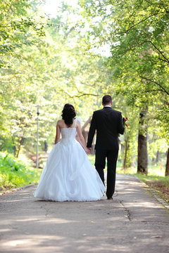 Bridal couple in the park in beautiful sunlight