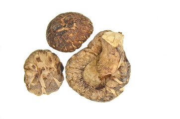 Dried mushrooms