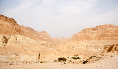 Fototapeta na wymiar Hiking and climbing in judean desert near dead sea israel