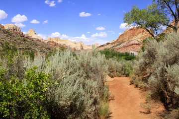 capitol Reef