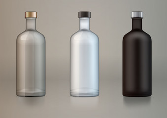 vector blank alcohol bottles for new design