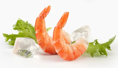 Papier Peint photo autocollant Crustacés shrimps