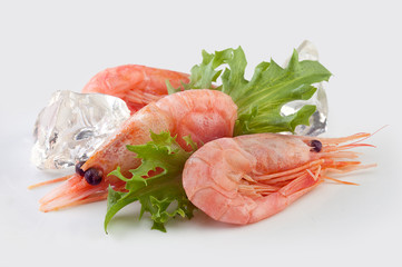 Shrimps
