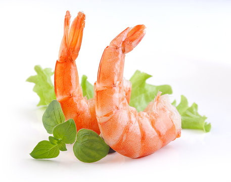 Shrimps tails