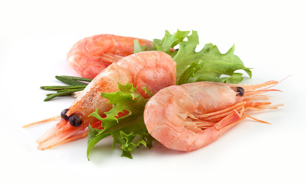 shrimps
