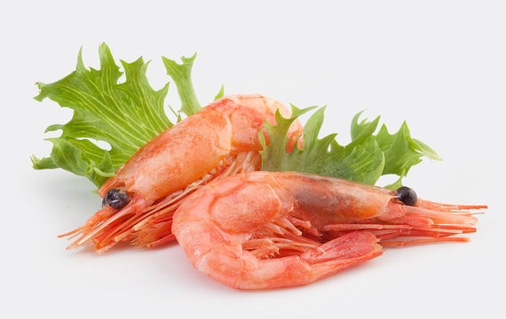shrimps
