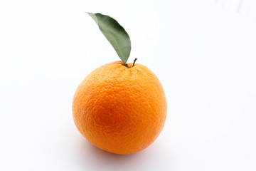 Belle orange
