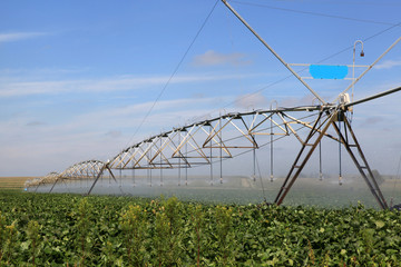 Industrial irrigation of soy beans.