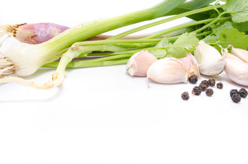 Spring greenery is with a garlic and grains of pepper on a white