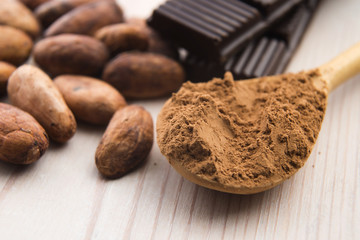 Cocoa (cacao) beans with chocolate