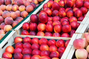 Nectarines in healthy eating concept
