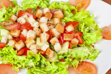 Vegetable salad with crackers