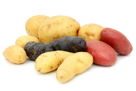 Pommes de terre vari&eacute;es