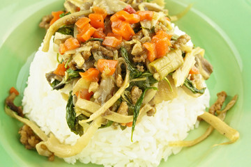 Close up oyster mushroom fried on rice isolated