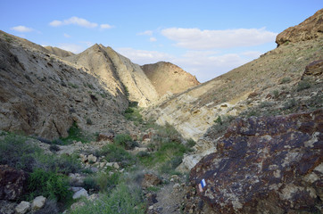 Desert wadi in Negev at spring, Israel.
