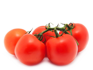 Bunch of  tomato