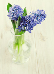 blue hyacinth in a glass vase on wooden surface
