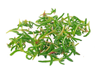 Fototapeta premium herbs and spices