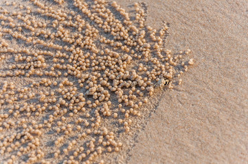 Fototapeta na wymiar sand beach background with sand ball