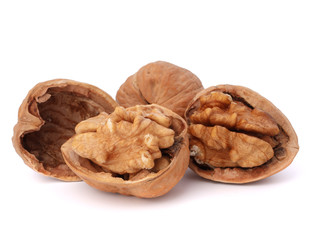 walnut