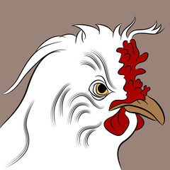 Obraz premium Fluffed Hen