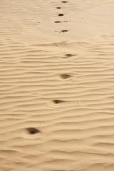 Desert sand