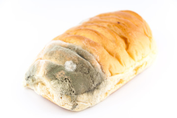 Mold on bread