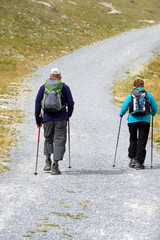 Wanderer in den Alpen