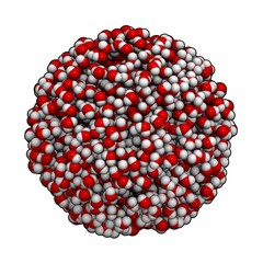 Water. Model of the molecular composition of liquid water