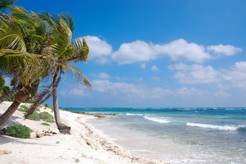 Beach at Akumal, Yucatan