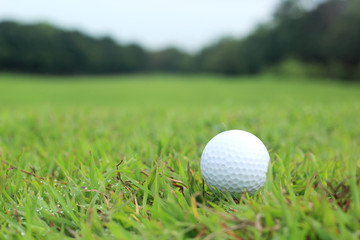 Golf ball lying in the fairway