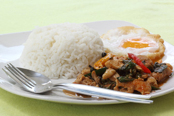 Chicken panang curry with rice