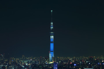 Naklejka premium ブルーにライトアップされた東京スカイツリー