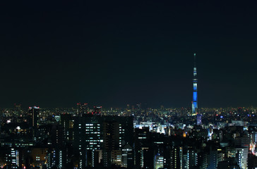 Fototapeta na wymiar 東京の夜景とスカイツリー