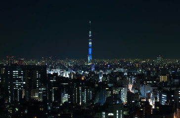 Fototapeta na wymiar 東京の夜景とスカイツリー