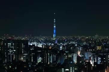 Fotobehang 東京の夜景とスカイツリー © takadahirohito