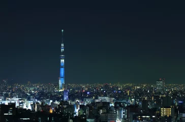 Foto op Plexiglas 東京の夜景　ライトアップされたスカイツリー © takadahirohito