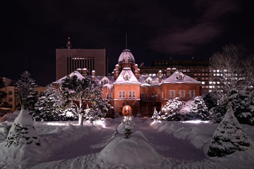 Hokkaido Government Building during winter with snow covered