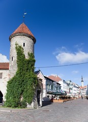 Obraz premium Viru Gate