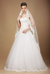 Wedding. Beautiful Graceful Bride in White Long Dress and Viel