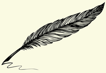 Obraz premium Vector freehand drawing of dark bird feather